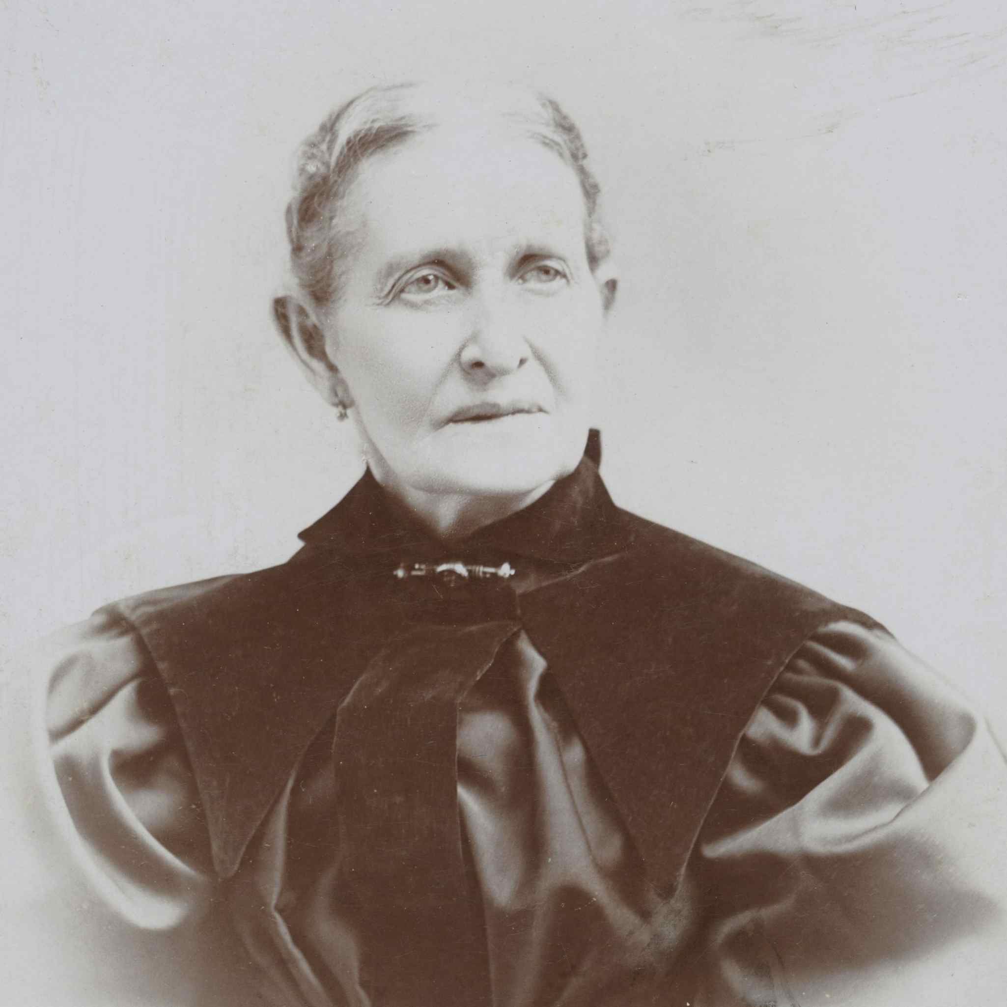 Sarah Ann Prichard Snow (1826 - 1900) Profile